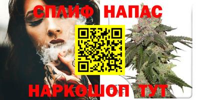 гидра Краснознаменск
