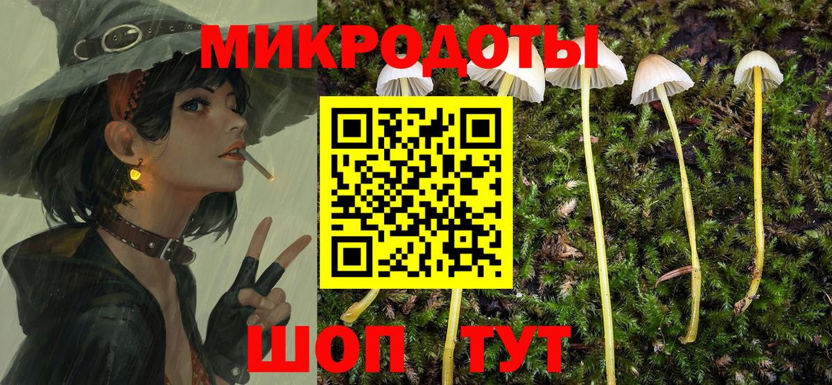 Галлюциногенные грибы Psilocybe  Вход с VPN  Анапа 